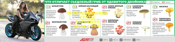 спайс Богородицк
