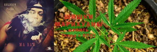 PSILOCYBIN Богородск