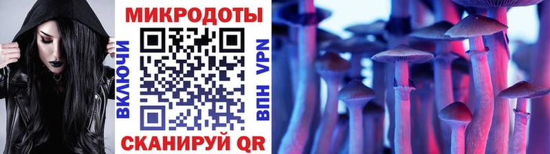кракен ССЫЛКА  Беслан  Галлюциногенные грибы Cubensis 